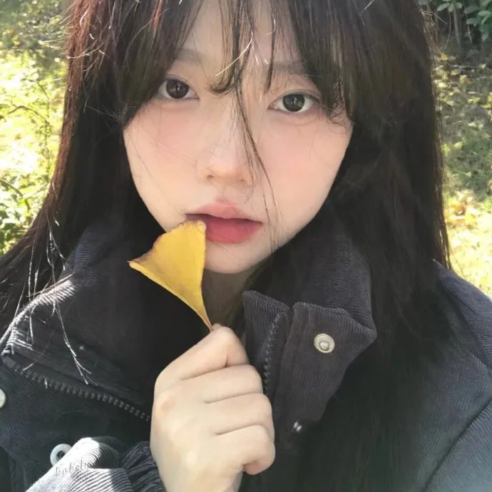 芒果和红色轮椅